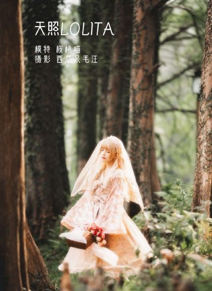 五十度灰资源