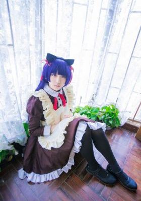 战狼电视剧全集免费观看完整版