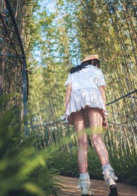 枪花免费观看完整电视剧全集